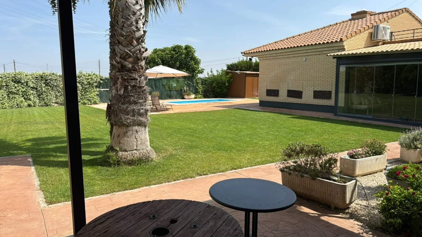 Jardín con palmera y la piscina al fondo